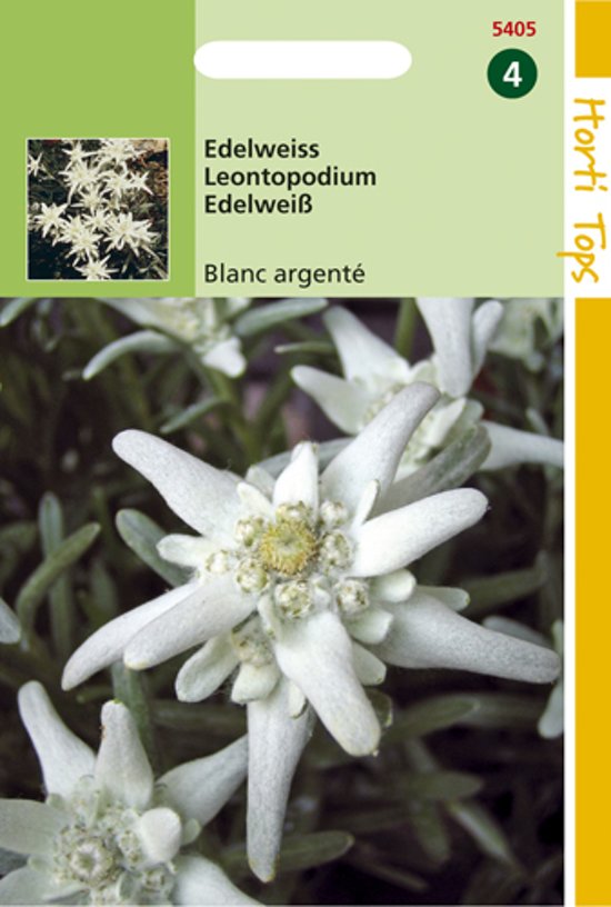 Edelwei (Leontopodium alpinum) 1500 Samen HT